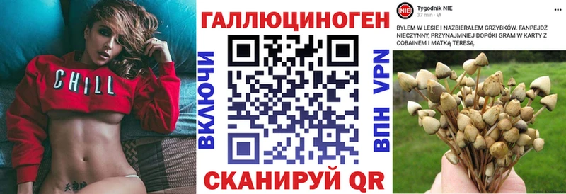 Галлюциногенные грибы Magic Shrooms  MEGA ССЫЛКА  Томари  купить закладку 
